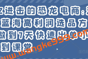 2022进击的恐龙电商:淘宝小众蓝海高利润选品方法论，做到7天快速出单小白也能做到