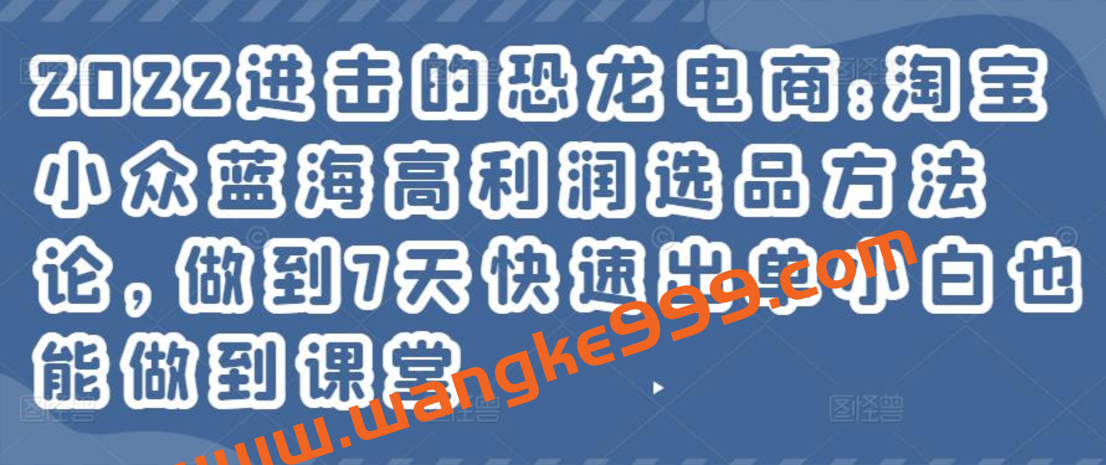 2022进击的恐龙电商:淘宝小众蓝海高利润选品方法论，做到7天快速出单小白也能做到插图