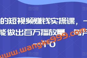 段老师的短视频赚钱实操课，一个人0基础也能做出百万播放量，每月收入多一个0