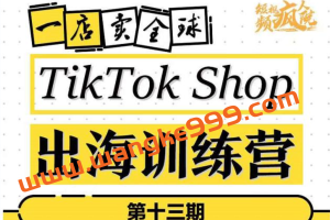 TikTokShop出海训练营（第十三期），打开全球流量新思维，出海抢占全球新流量，一店卖全球