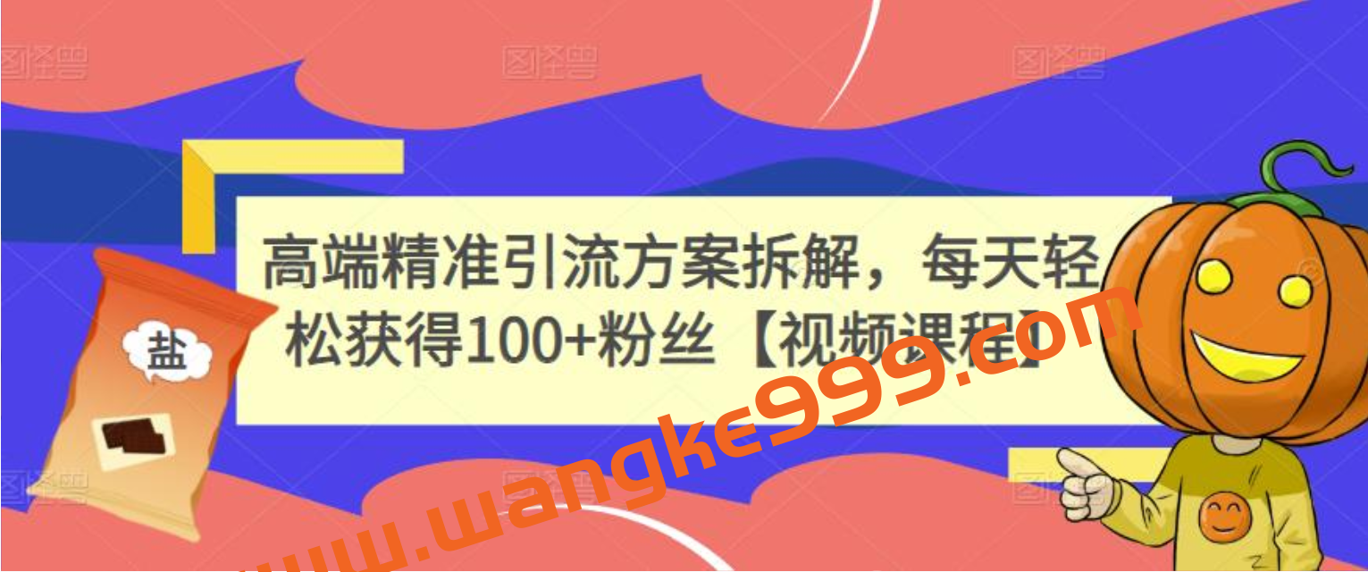 高端精准引流方案拆解，每天轻松获得100+粉丝【视频课程】插图