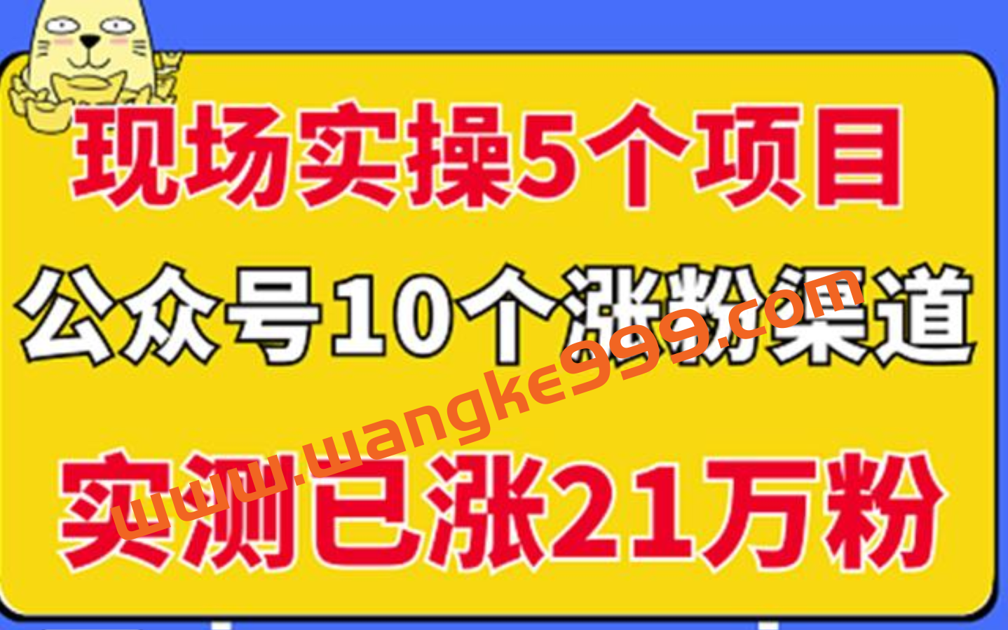 现场实操5个公众号项目，10个涨粉渠道，实测已涨21万粉插图