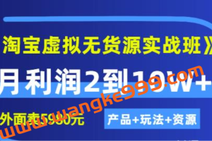 程哥《淘宝虚拟无货源实战班》线上第四期：月利润2到10W+（产品+玩法+资源)