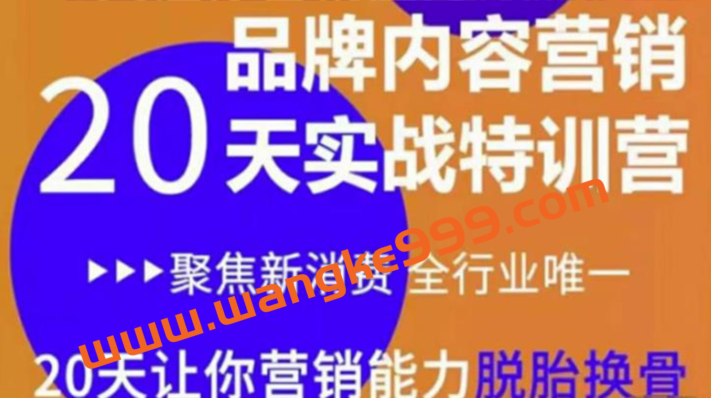 《品牌内容营销20天实战特训营》20天让你营销能力脱胎换骨