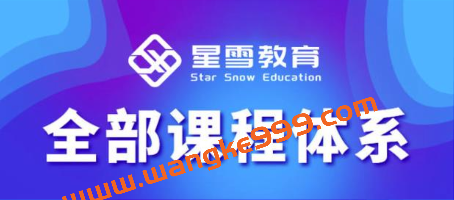 星雪教育淘系高级班，更全的运营提升方案，零基础由浅入深，店铺最新玩法插图