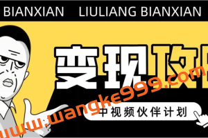 老吴《中视频项目搬砖玩法》单号每月赚3000块没多少问题