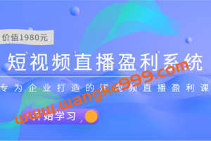 实战全网营销-专为企业打造短视频直播盈利系统