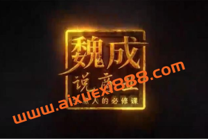 魏成说商业《创业布局3.0》