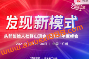 波波来了发现新模式头部创始人社群山顶会——2021年度峰会