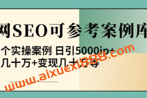 白杨全网SEO可参考案例库，几十个实操案例日引5000ip+涨粉百W+变现几十W等