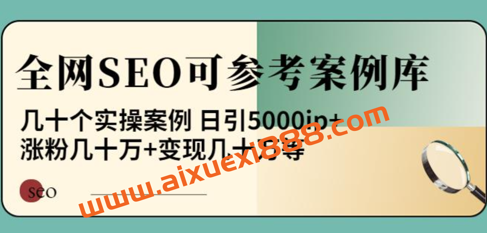 白杨全网SEO可参考案例库，几十个实操案例日引5000ip+涨粉百W+变现几十W等插图