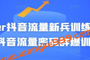 Peter抖音流量新兵训练营-破解抖音流量密码群爆训练营