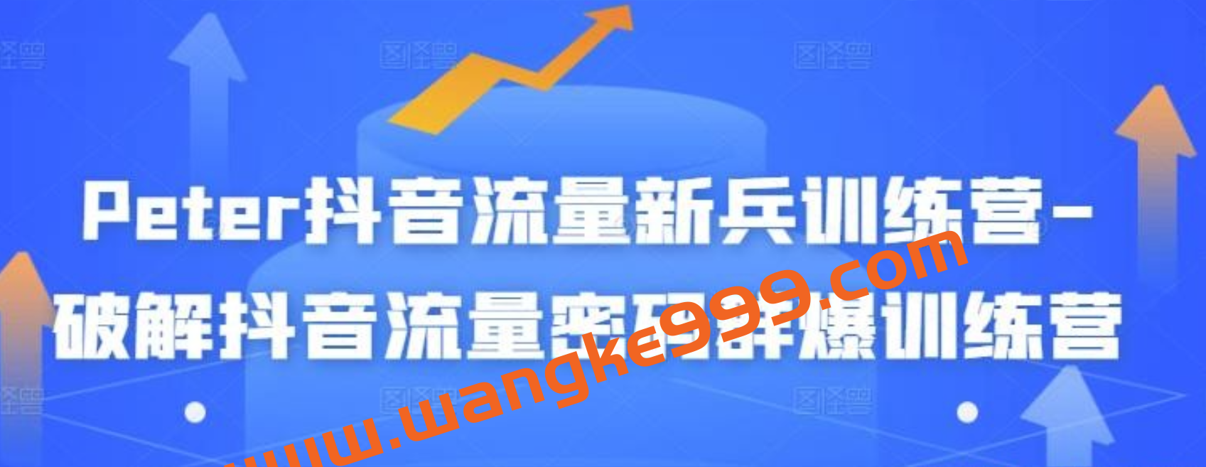 Peter抖音流量新兵训练营-破解抖音流量密码群爆训练营插图