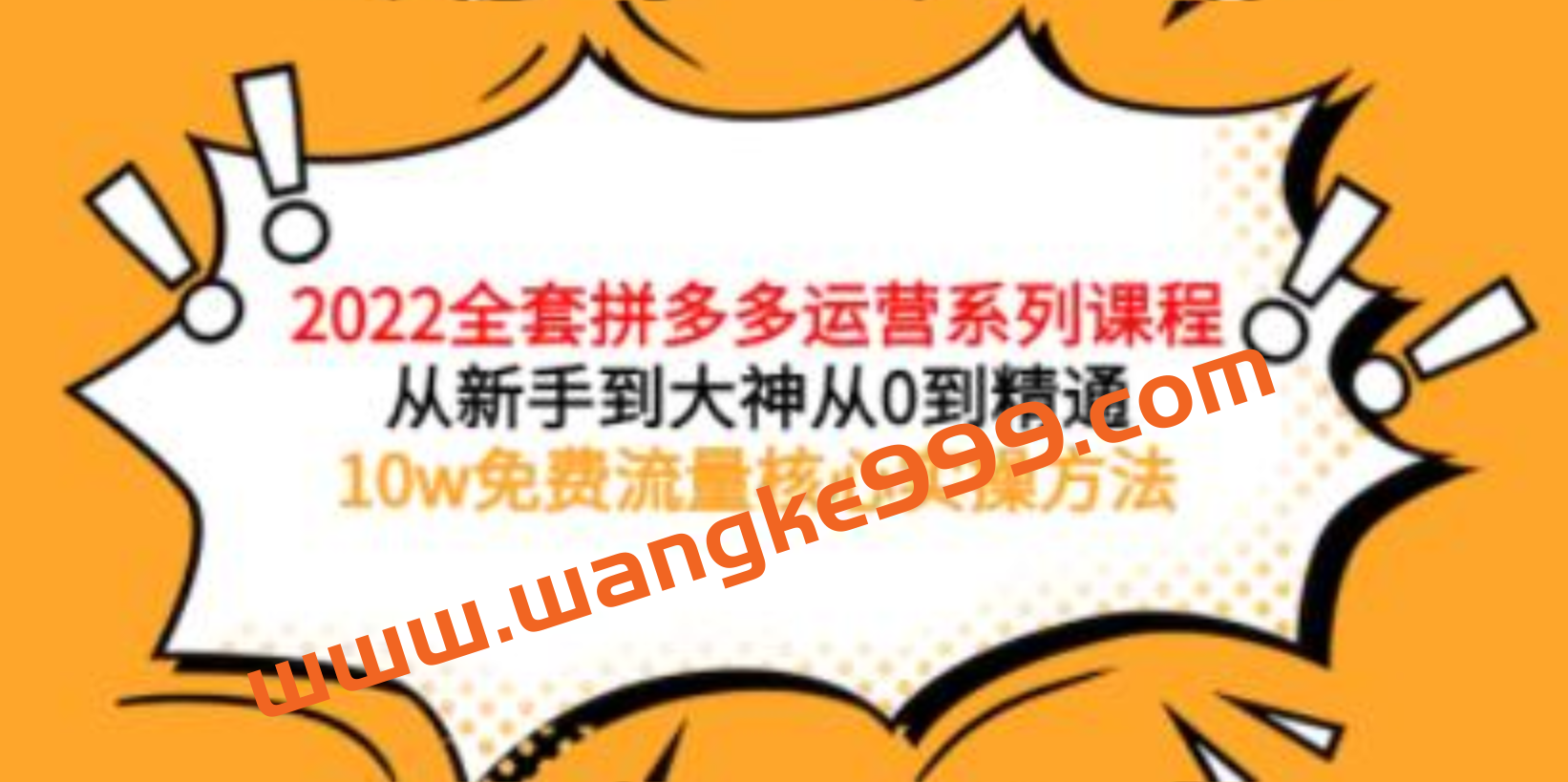 2022拼多多全套核心实操课程：从新手到大神，从0到精通插图