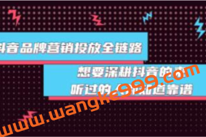 《抖音品牌营销投放全链路》深耕抖音，进行爆品打造品牌老板