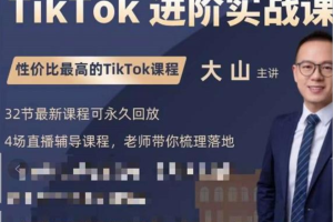 大山老师TikTok进阶实战课：账号详解，流量运营，实战变现，助力你成功出海