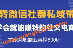 《玩转微信社群私域带货》学会就能赚钱的社交电商，在家兼职副业再挣8000+