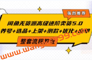 赋闲创客《闲鱼无货源高级进阶卖货5.0》养号+选品+上架+测款+优化+出单整套流程