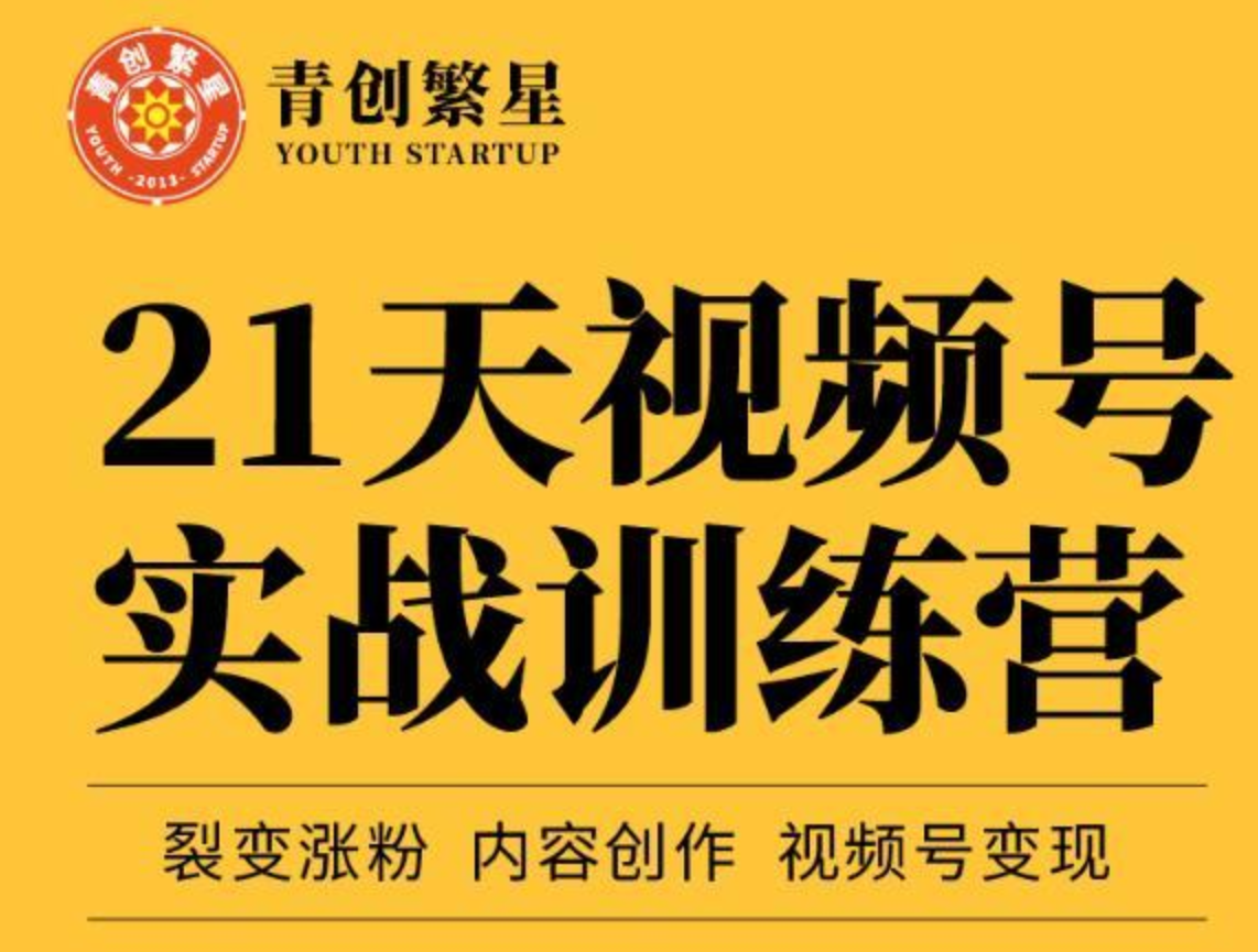 张萌21天视频号实战训练营，裂变涨粉、内容创作、视频号变现 价值298元插图