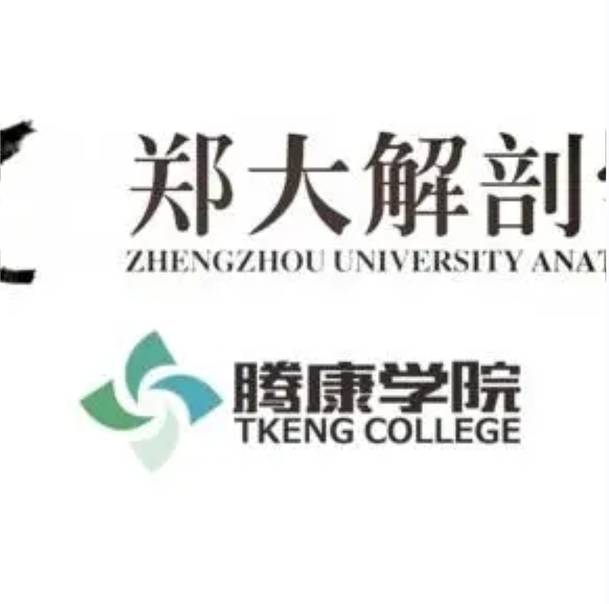 郑大解刨学【每日一肌全身肌肉疼痛讲解】插图