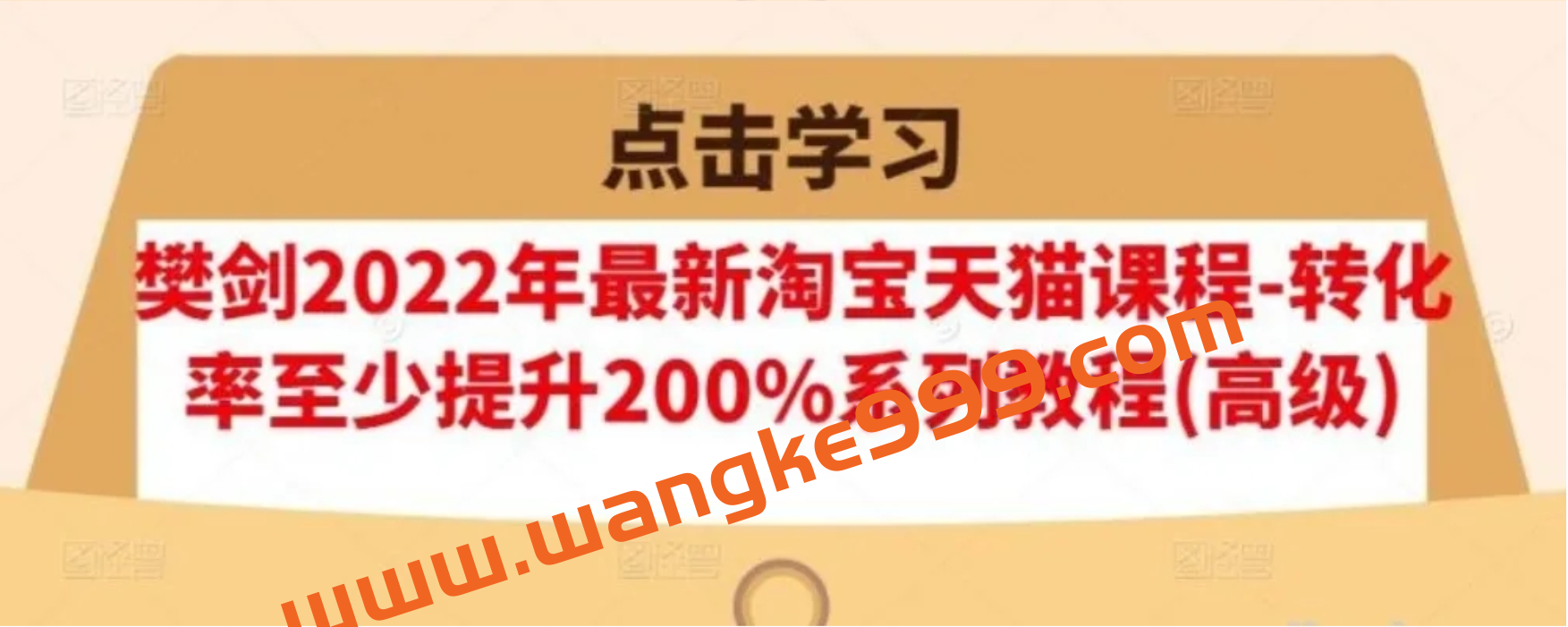 樊剑2022年最新淘宝天猫课程-转化率至少提升200%系列教程(高级)插图