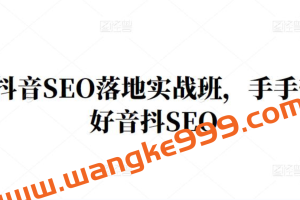 王通·抖音SEO落地实战班，手把‬手带你做好抖音‬‬SEO