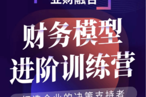 大成方略：财务模型进阶训练营价值1980元