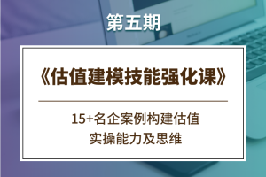 【众筹】估值建模技能强化课《第五期》