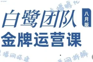 白鹭团队金牌运营课八月版 0基础直播运营