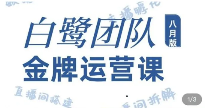 白鹭团队金牌运营课八月版 0基础直播运营插图