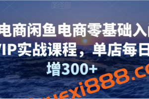 圣域电商闲鱼电商零基础入门到进阶VIP实战课程，单店每日净利增300+