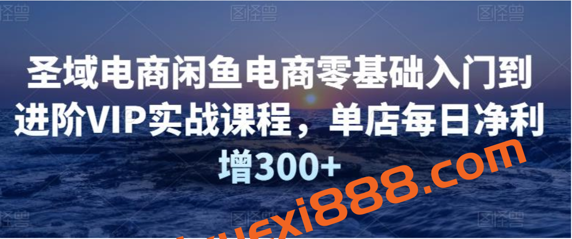 圣域电商闲鱼电商零基础入门到进阶VIP实战课程，单店每日净利增300+插图