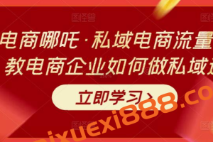 大圣电商哪吒·私域电商流量密码课，教电商企业如何做私域运营