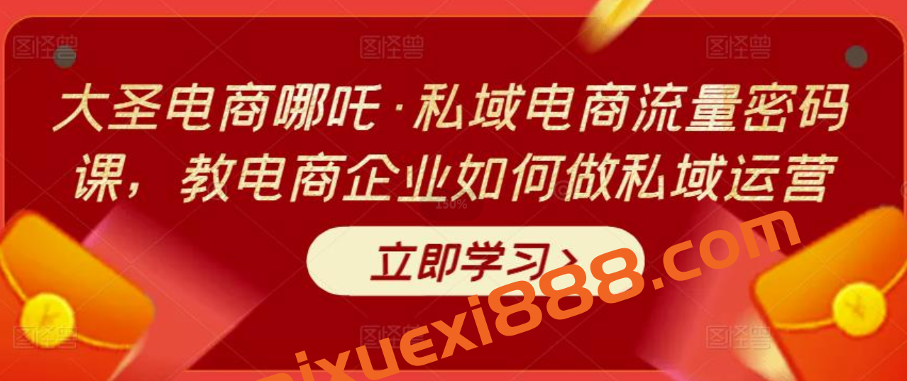 大圣电商哪吒·私域电商流量密码课，教电商企业如何做私域运营插图