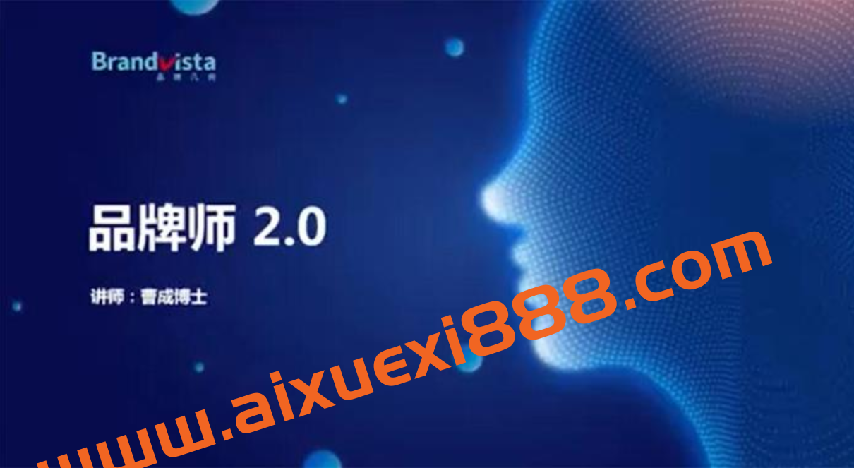 曹成博士《品牌师2.0》插图