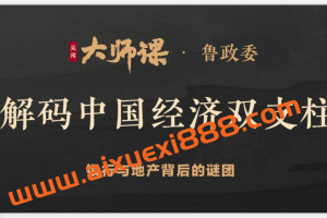 鲁政委《解码中国经济双支柱》：银行与地产背后的谜团