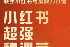 老王电商学院《小红书超强密训营》