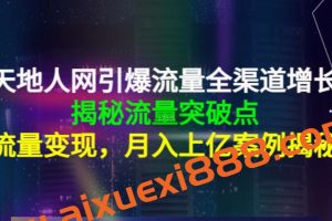 天地人网引爆流量全渠道增长，揭秘流量突破点