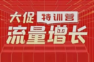 阿呆《大促流量增长特训营》