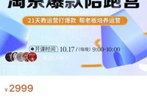 108将淘系爆款陪跑营【第九期】