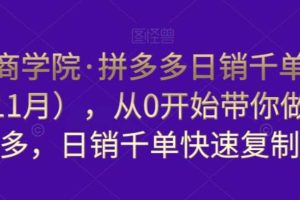 白凤电商学院·拼多多日销千单训练营（更新11月）