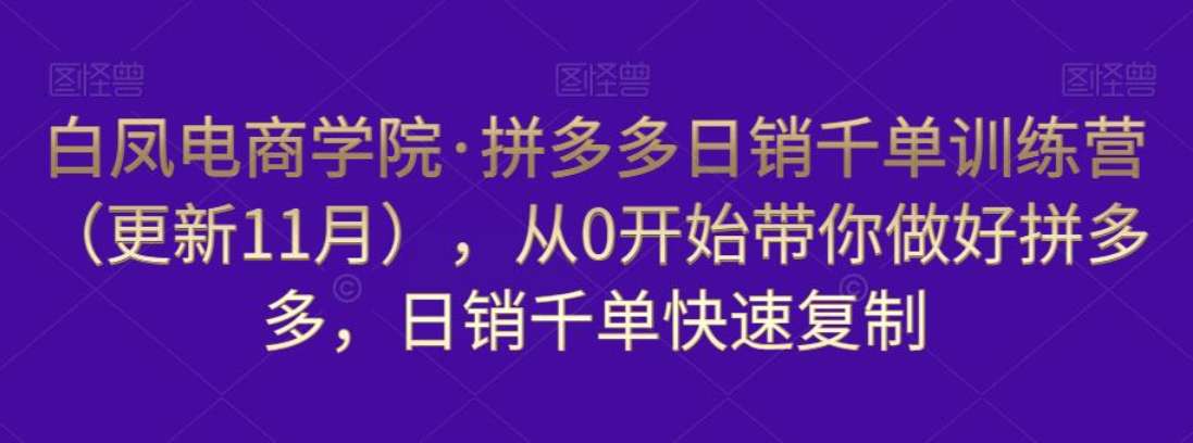 白凤电商学院·拼多多日销千单训练营（更新11月）插图