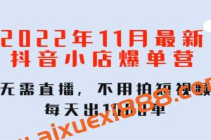 2022年11月最新抖音小店爆单营，无需直播，不用拍短视频