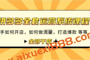 拼多多全套运营系统课程：新手如何开店如何做流量打造爆款