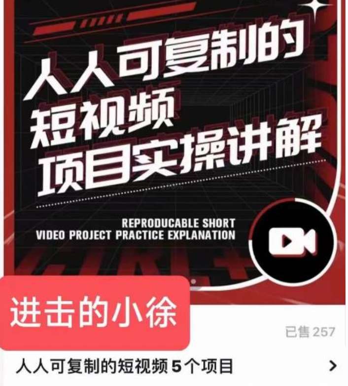 进击的小徐·人人可复制的短视频5个项目插图