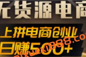 抖上拼无货源电商创业项目、外面收费12800