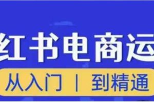 顽石小红书电商高阶运营课程，从入门到精通，玩法流程持续更新