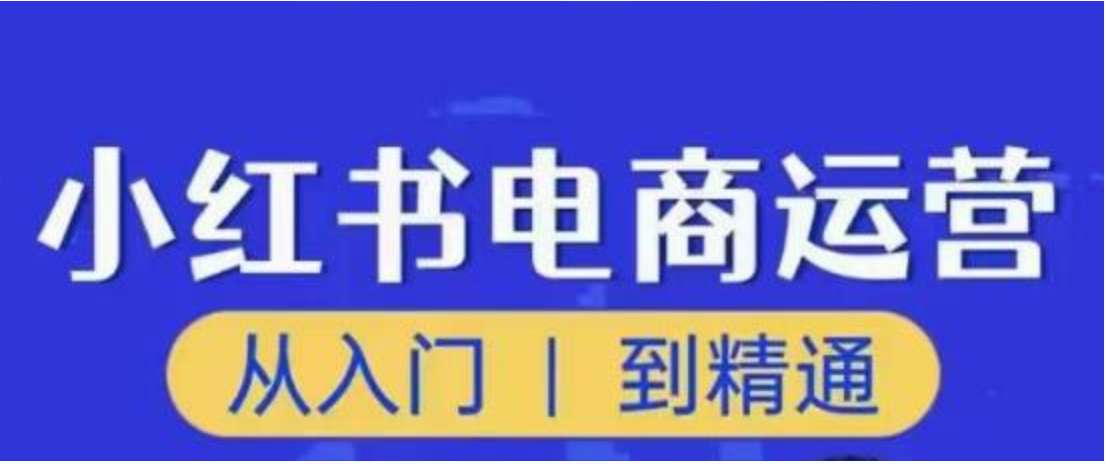 顽石小红书电商高阶运营课程，从入门到精通，玩法流程持续更新插图