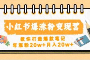 小红书爆涨粉变现营，教你打造爆款笔记，年涨粉20w+月入20w