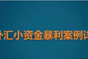 竹祥汇说《外汇小资金暴利案例详解》